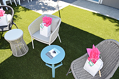 MOMENTUM - MULTI-VENDOR