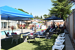 MOMENTUM - MULTI-VENDOR