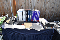 MOMENTUM - MULTI-VENDOR