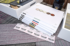 MOMENTUM - MULTI-VENDOR