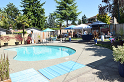 MOMENTUM - MULTI-VENDOR