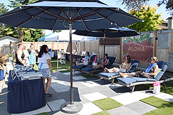 MOMENTUM - MULTI-VENDOR