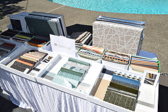 MOMENTUM - MULTI-VENDOR