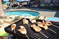 MOMENTUM - MULTI-VENDOR