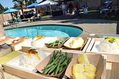 MOMENTUM - MULTI-VENDOR