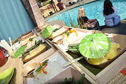 MOMENTUM - MULTI-VENDOR