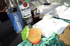 MOMENTUM - MULTI-VENDOR