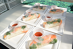 MOMENTUM - MULTI-VENDOR