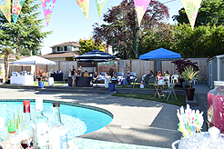 MOMENTUM - MULTI-VENDOR