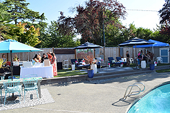 MOMENTUM - MULTI-VENDOR