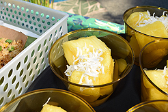 MOMENTUM - MULTI-VENDOR