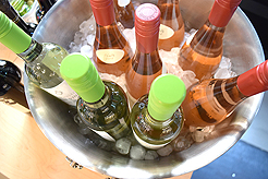 NEWH SIP AND SKETCH AT MG2