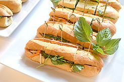 NEWH SIP AND SKETCH AT MG2