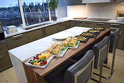 ARCHITECT PRESENTATION