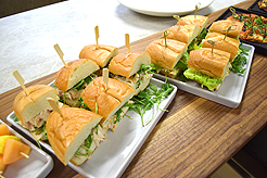 ARCHITECT PRESENTATION