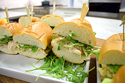 ARCHITECT PRESENTATION