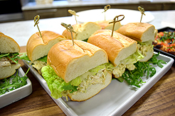 ARCHITECT PRESENTATION