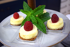 NUANCE INTERIOR DESIGN SHOWROOM LAUNCH