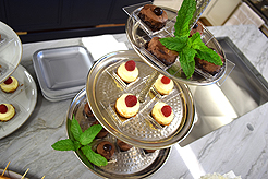 NUANCE INTERIOR DESIGN SHOWROOM LAUNCH