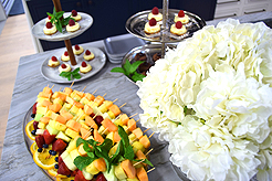 NUANCE INTERIOR DESIGN SHOWROOM LAUNCH