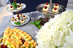 NUANCE INTERIOR DESIGN SHOWROOM LAUNCH