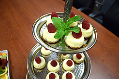 NUANCE INTERIOR DESIGN SHOWROOM LAUNCH