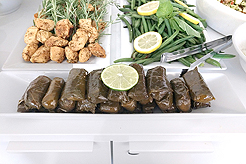 PERKINS WILL - MULTI-VENDOR