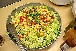 RFM - MULTI-VENDOR - MOMENTUM