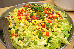 RFM - MULTI-VENDOR - MOMENTUM