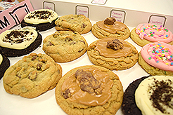 RFM - MULTI-VENDOR - MOMENTUM