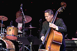 TRIPLE DOOR - THE BIG GIG