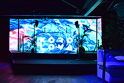 UNDERGROUND FRIDAYS - KORO LOVA