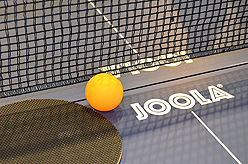 STACY LOGAN HOLIDAY EVENT