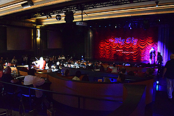 THE BIG GIG AT THE TRIPLE DOOR