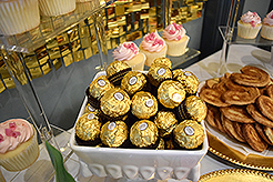 THE CLOSET EDIT AT THE FINERIE