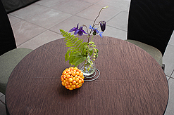 THE INTERNATIONAL DOGGIE SHOW FUNDRAISER FOR CONNECTING BORDERS