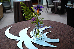 THE INTERNATIONAL DOGGIE SHOW FUNDRAISER FOR CONNECTING BORDERS