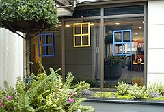 THE INTERNATIONAL DOGGIE SHOW FUNDRAISER FOR CONNECTING BORDERS