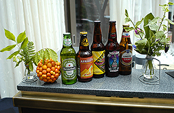 THE INTERNATIONAL DOGGIE SHOW FUNDRAISER FOR CONNECTING BORDERS