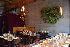 THE LUSTY VEGAN COOKBOOK