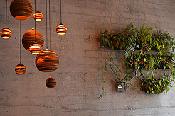 THE LUSTY VEGAN COOKBOOK