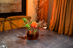 THE VUDE - VELVET UNDERGROUND DINING EXPERIENCE