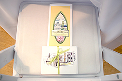 TIMELESS TACOMA TREASURES