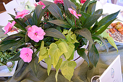 TIMELESS TACOMA TREASURES