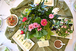 TIMELESS TACOMA TREASURES