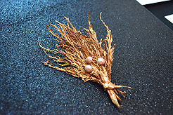 TIMELESS TACOMA TREASURES