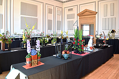 TIMELESS TACOMA TREASURES