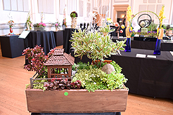 TIMELESS TACOMA TREASURES