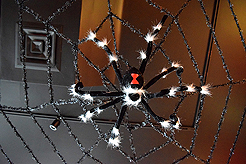 WATERCRESS HALLOWEEN