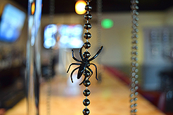 WATERCRESS HALLOWEEN